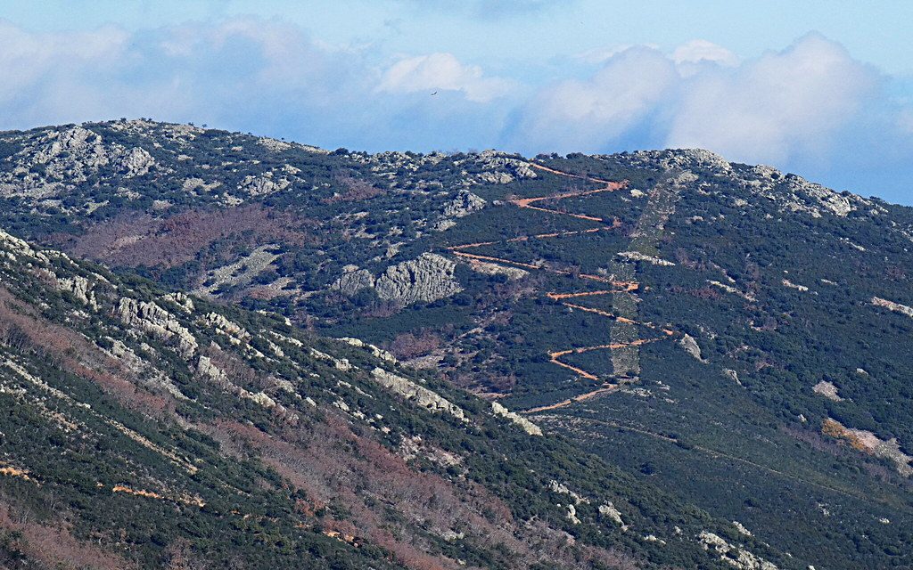 Parque natural de Cabañeros